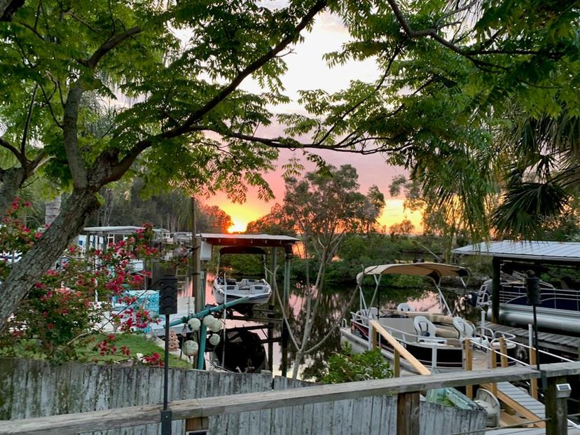 Picture of 505 Riverview Lane, Tarpon Springs FL 34689
