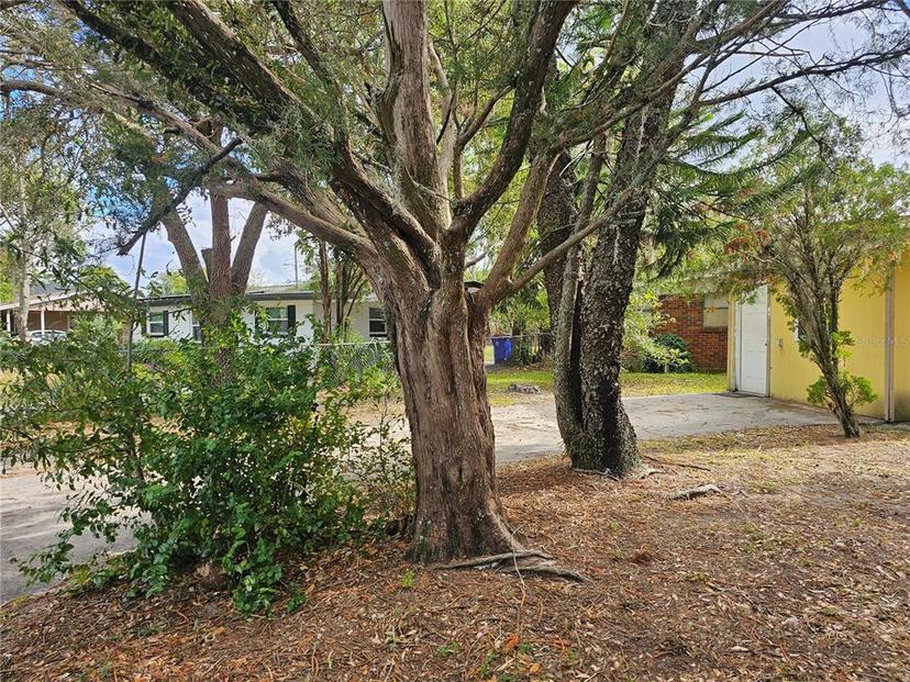 Picture of 1040 Maxey Drive, Winter Garden FL 34787
