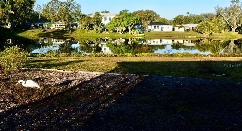 Picture of 1900 41St Street N, St Petersburg FL 33713
