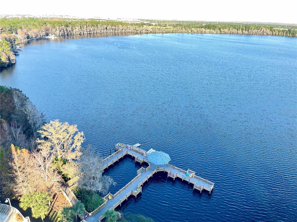 Picture of 13427 Blue Heron Beach Drive Unit 1401, Orlando, FL 32821