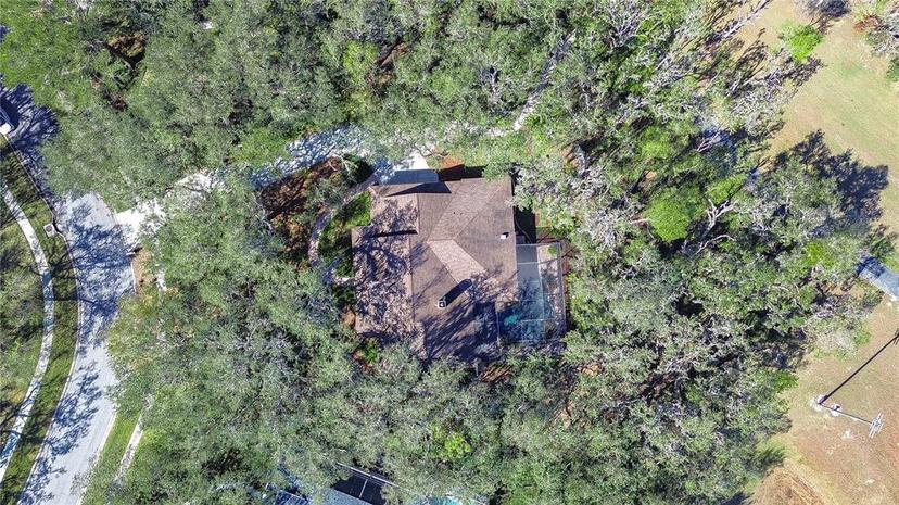 Picture of 5823 Audubon Manor Boulevard, Lithia FL 33547