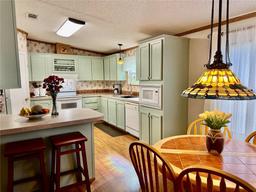 Picture of 8326 Fantasia Park Way, Riverview, FL 33578