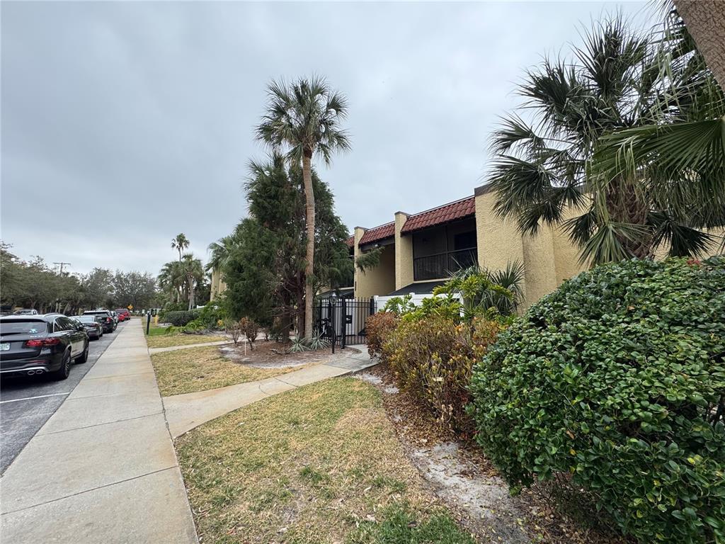 Picture of 107 S Obrien Street Unit 220, Tampa, FL 33609