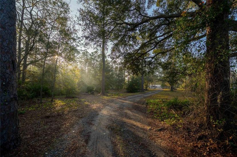Picture of 1820 Trailswood Path, Lakeland FL 33809