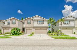 Picture of 4925 White Sanderling Court, Tampa, FL 33619
