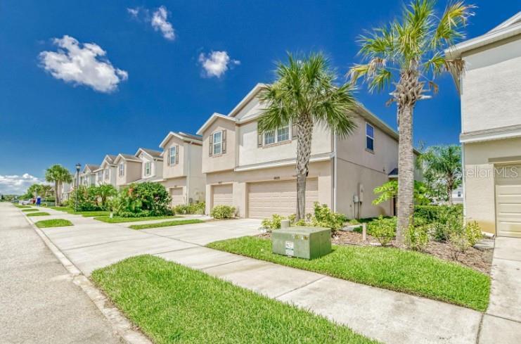 Picture of 4925 White Sanderling Court, Tampa FL 33619