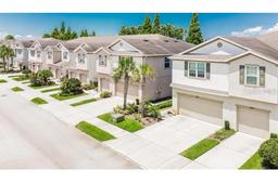 Picture of 4925 White Sanderling Court, Tampa, FL 33619