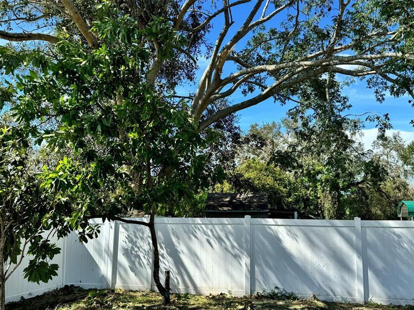 Picture of 608 S Lakeview Avenue, Winter Garden FL 34787