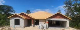 Picture of 411 Caribbean Court, Kissimmee, FL 34759