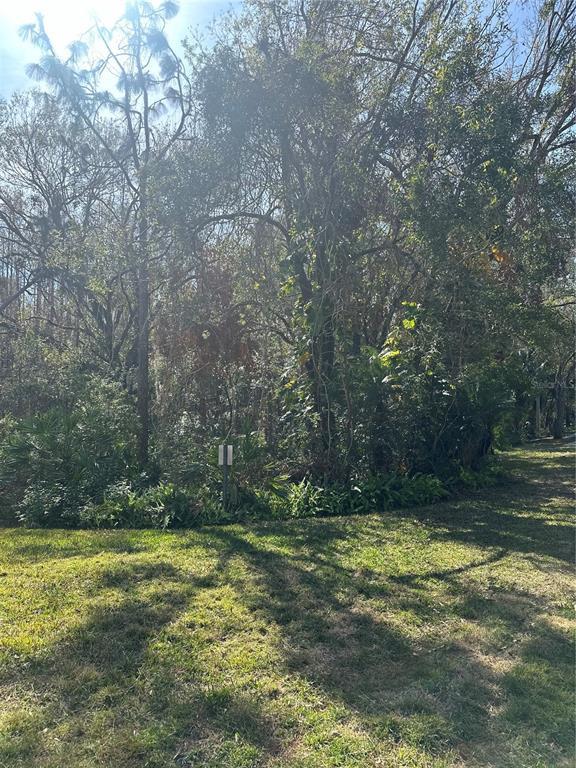 Picture of 8541 Hunters Key Circle, Tampa FL 33647