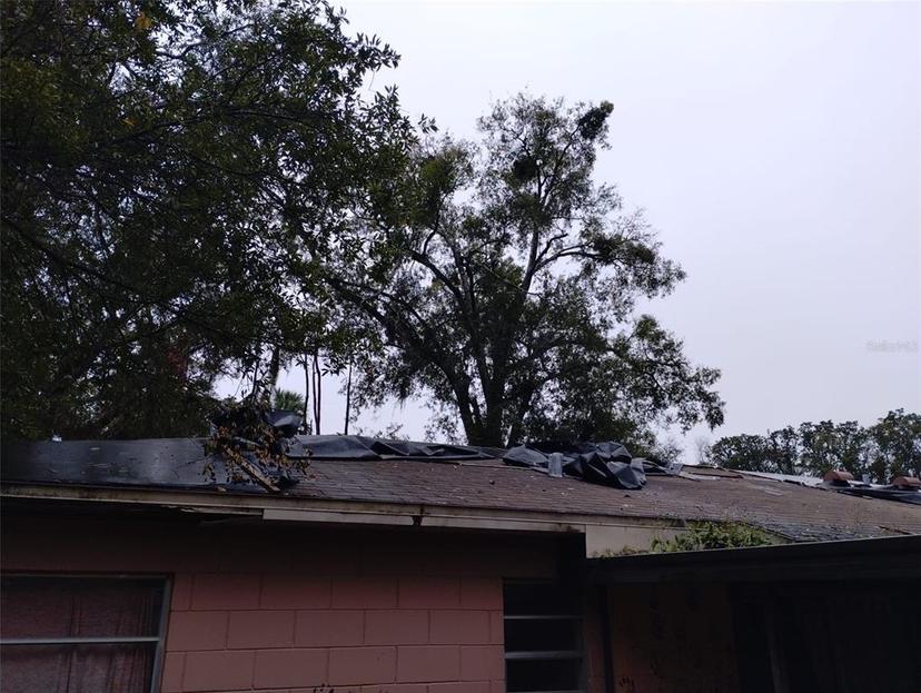 Picture of 800 Nicole Boulevard, Ocoee FL 34761