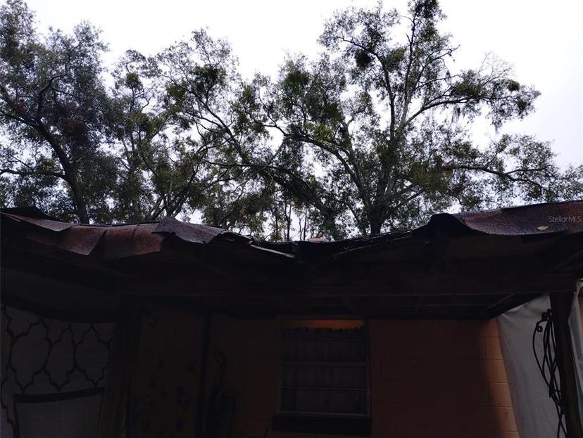 Picture of 800 Nicole Boulevard, Ocoee FL 34761