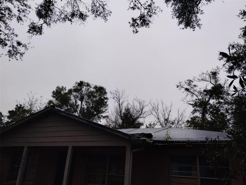 Picture of 800 Nicole Boulevard, Ocoee FL 34761
