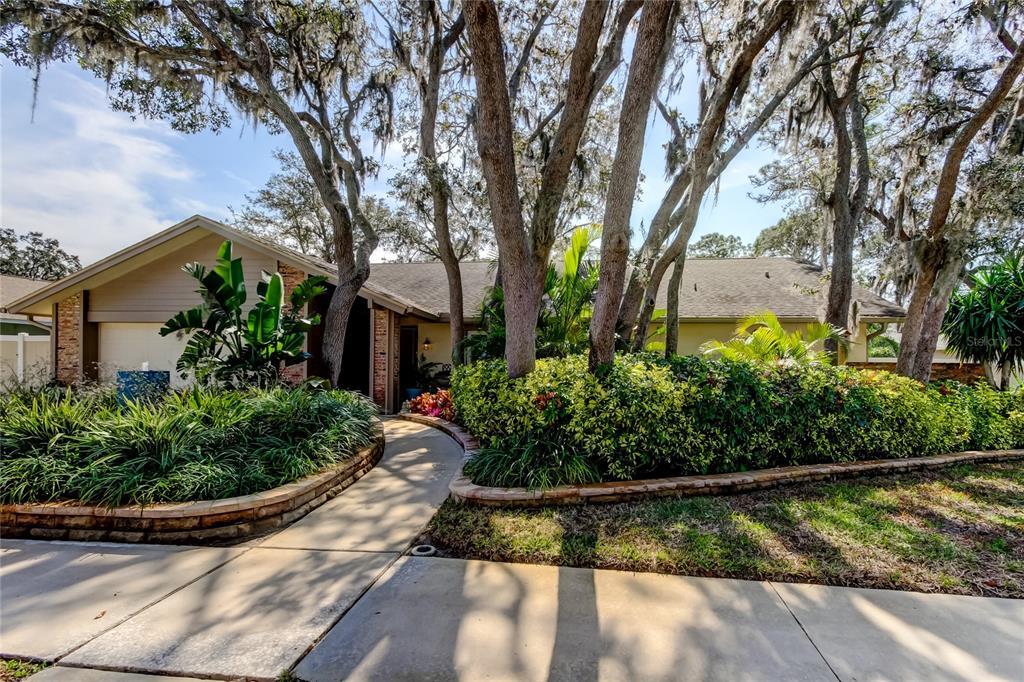 Picture of 3089 Enisglen Drive, Palm Harbor, FL 34683