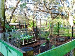 Picture of 19390 SE 95Th Place, Ocklawaha, FL 32179