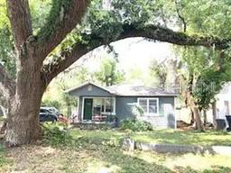 Picture of 1510 E Jean St, Tampa, FL 33610