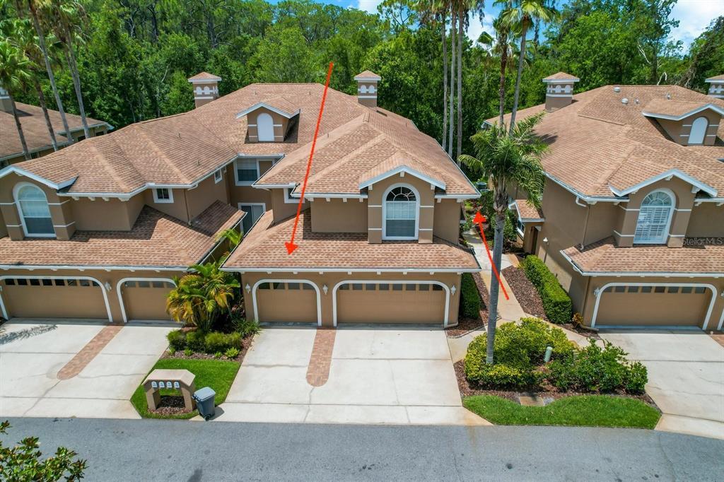 Picture of 4224 Preserve Place, Palm Harbor, FL 34685
