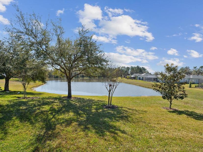 Picture of 19504 Lily Pond Court, Brooksville FL 34601