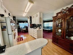 Picture of 205 Seagull Drive N, Tarpon Springs, FL 34689