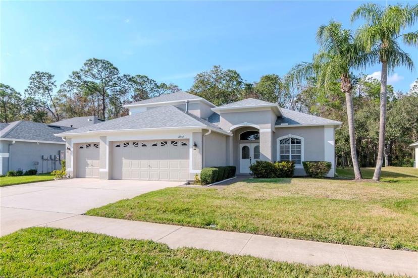 Picture of 12545 Leatherleaf Drive, Tampa FL 33626