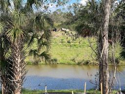 Picture of 1790 New London Street, North Port, FL 34288