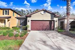 Picture of 4512 Paper Mulberry Place, Riverview, FL 33578