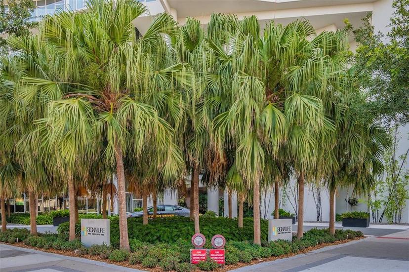 Picture of 175 S 1St St Unit 1008, St Petersburg FL 33701