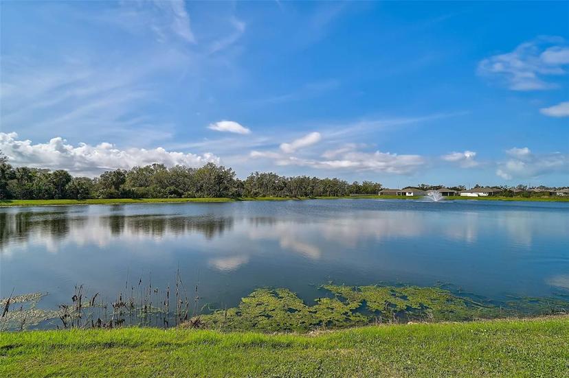 Picture of 3945 Mossy Limb Court, Palmetto FL 34221