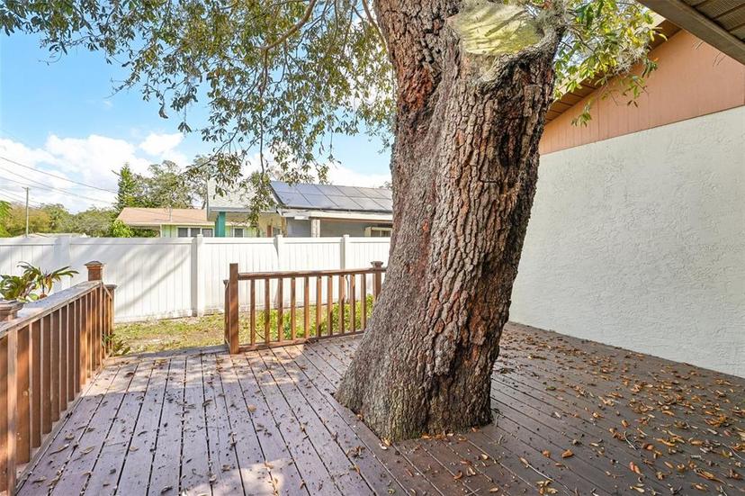 Picture of 1801 E Mcberry Street, Tampa FL 33610