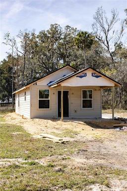 Picture of Lot 15 Indian Estates CR 423, Lake Panasoffkee, FL 33538