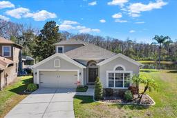 Picture of 10910 May Apple Court, Land O Lakes, FL 34638