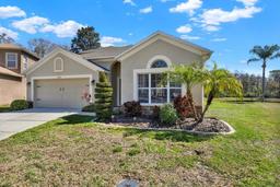 Picture of 10910 May Apple Court, Land O Lakes, FL 34638