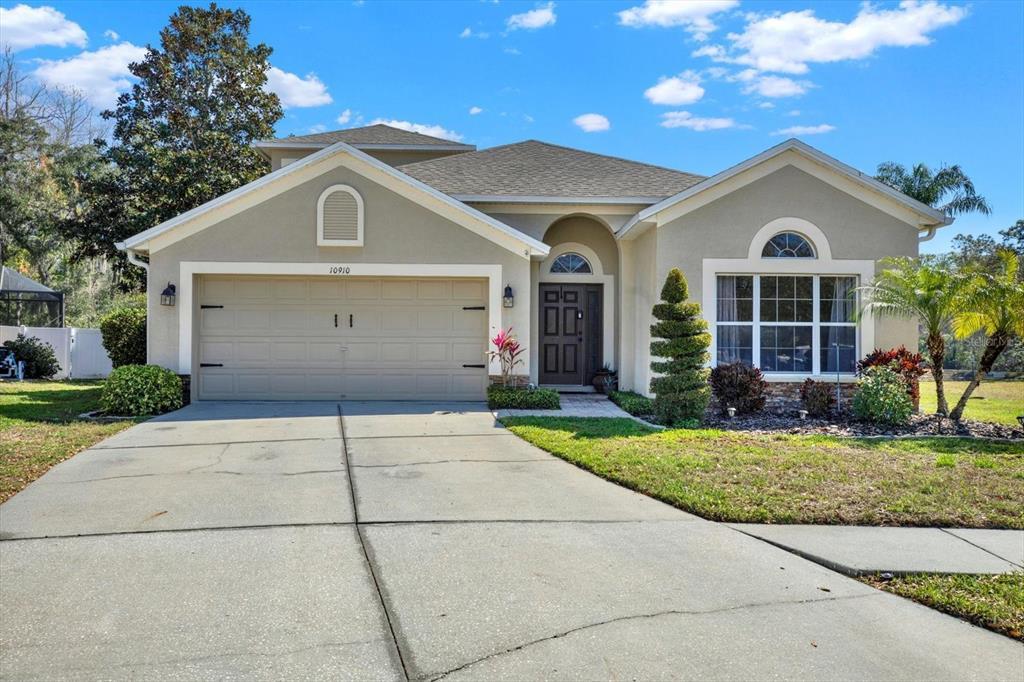 Picture of 10910 May Apple Court, Land O Lakes, FL 34638