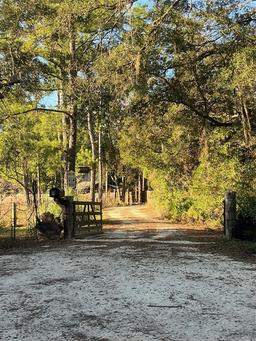 Picture of 9205 SW 152Nd Place, Dunnellon, FL 34432