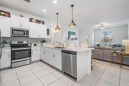 Picture of 6256 Shiner Street, Land O Lakes, FL 34638