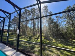 Picture of 375 Orange Cosmos Boulevard, Davenport, FL 33837