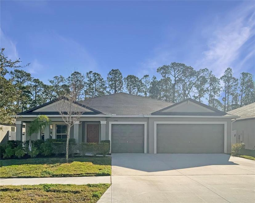 Picture of 13507 Willow Bluestar Loop, Riverview FL 33579