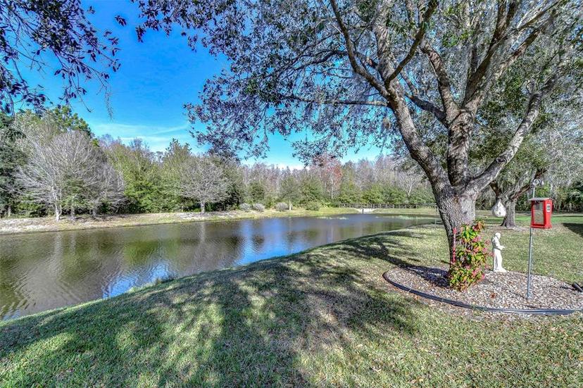 Picture of 31841 Larkenheath Drive, Wesley Chapel FL 33543