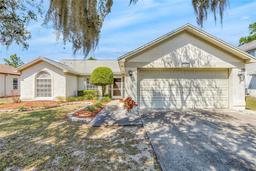 Picture of 13216 Parkhurst Court, Riverview, FL 33569