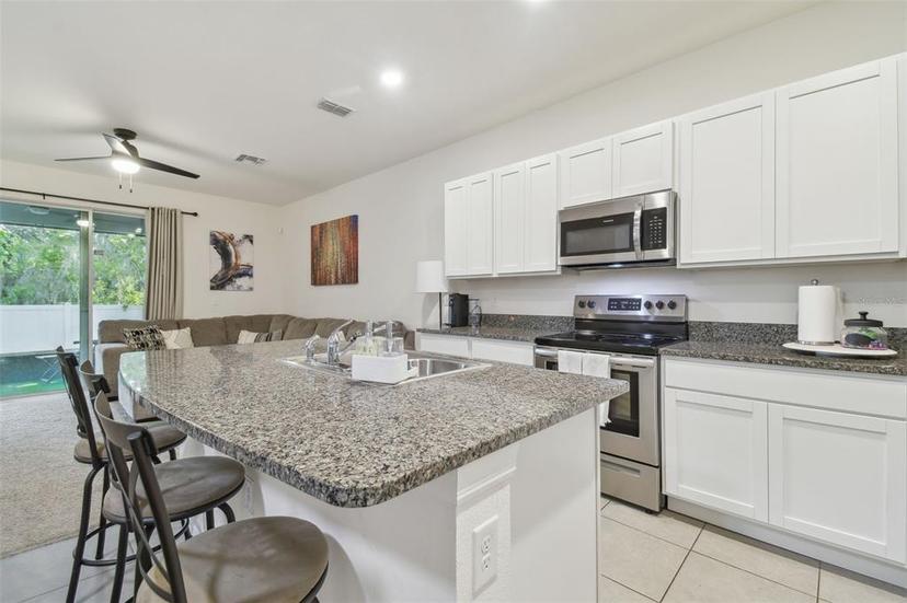 Picture of 3313 Pleasant Willow Court, Brandon FL 33511