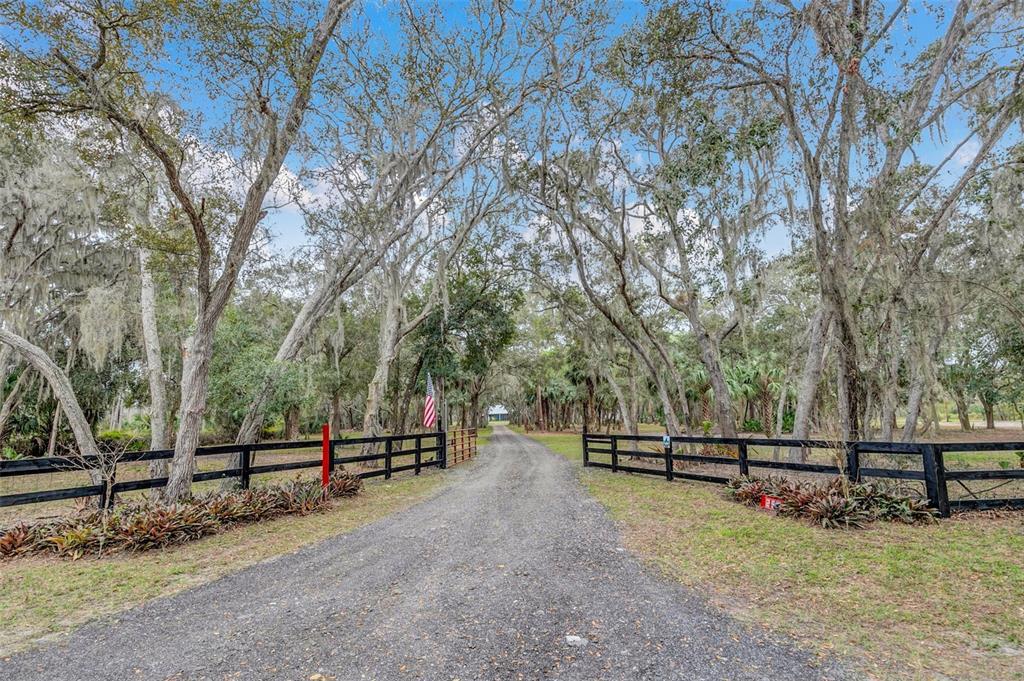 Picture of 255 Butterfly Forest Road, Geneva, FL 32732