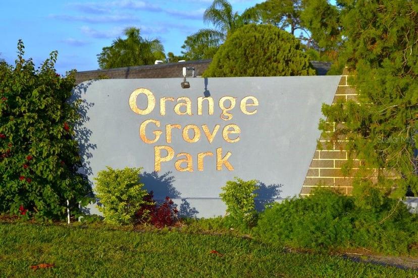 Picture of 41 Tangerine Court, Lehigh Acres FL 33936