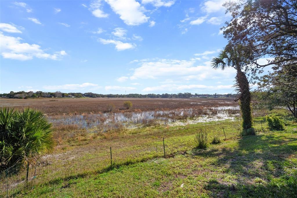 Picture of 1472 Ivydale Road, Spring Hill, FL 34606