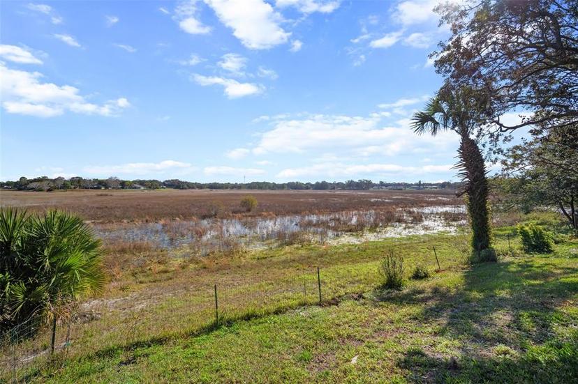 Picture of 1472 Ivydale Road, Spring Hill FL 34606