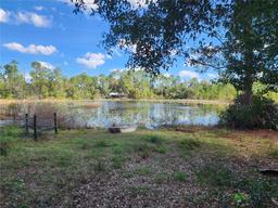 Picture of 43610 Dixie Drive, Paisley, FL 32767