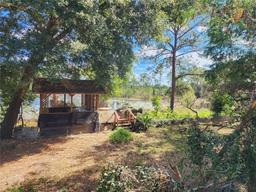 Picture of 43610 Dixie Drive, Paisley, FL 32767