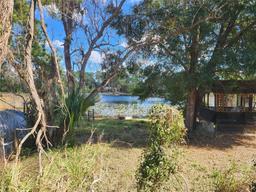 Picture of 43610 Dixie Drive, Paisley, FL 32767