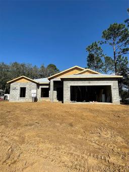 Picture of 8827 N Mendoza Way, Citrus Springs, FL 34434