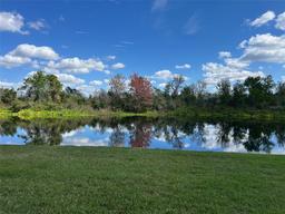 Picture of 20115 Nob Oak Avenue, Tampa, FL 33647