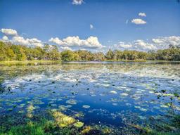Picture of 3471 Whitner Way, Sanford, FL 32773